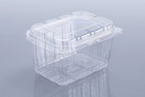 250 GMS PUNNET BOX