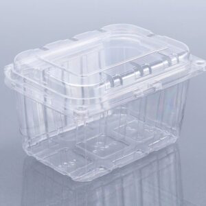 250 GMS PUNNET BOX