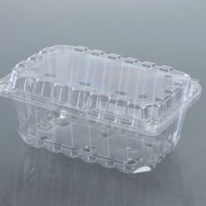 500 GMS PUNNET BOX