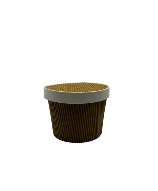 500ML RIPPLE CONTAINER