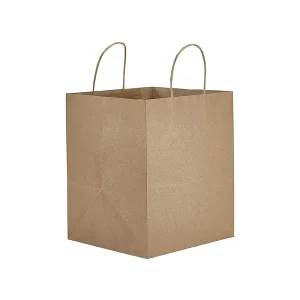 NO-10 PAPER HANDLE CARRY BAG(10*10 INCH)