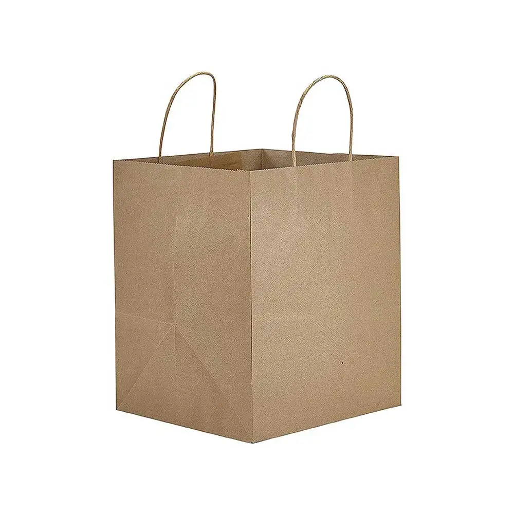 NO-10 PAPER HANDLE CARRY BAG(10*10 INCH)
