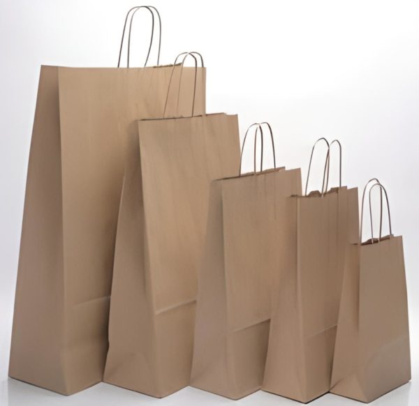 PAPER BAGS (available in different sizes)